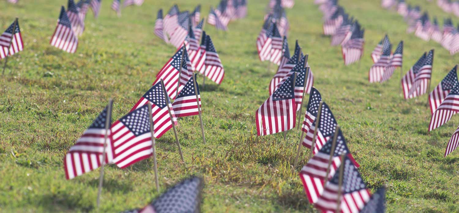 Rows of small american flags on a large grassy lawn